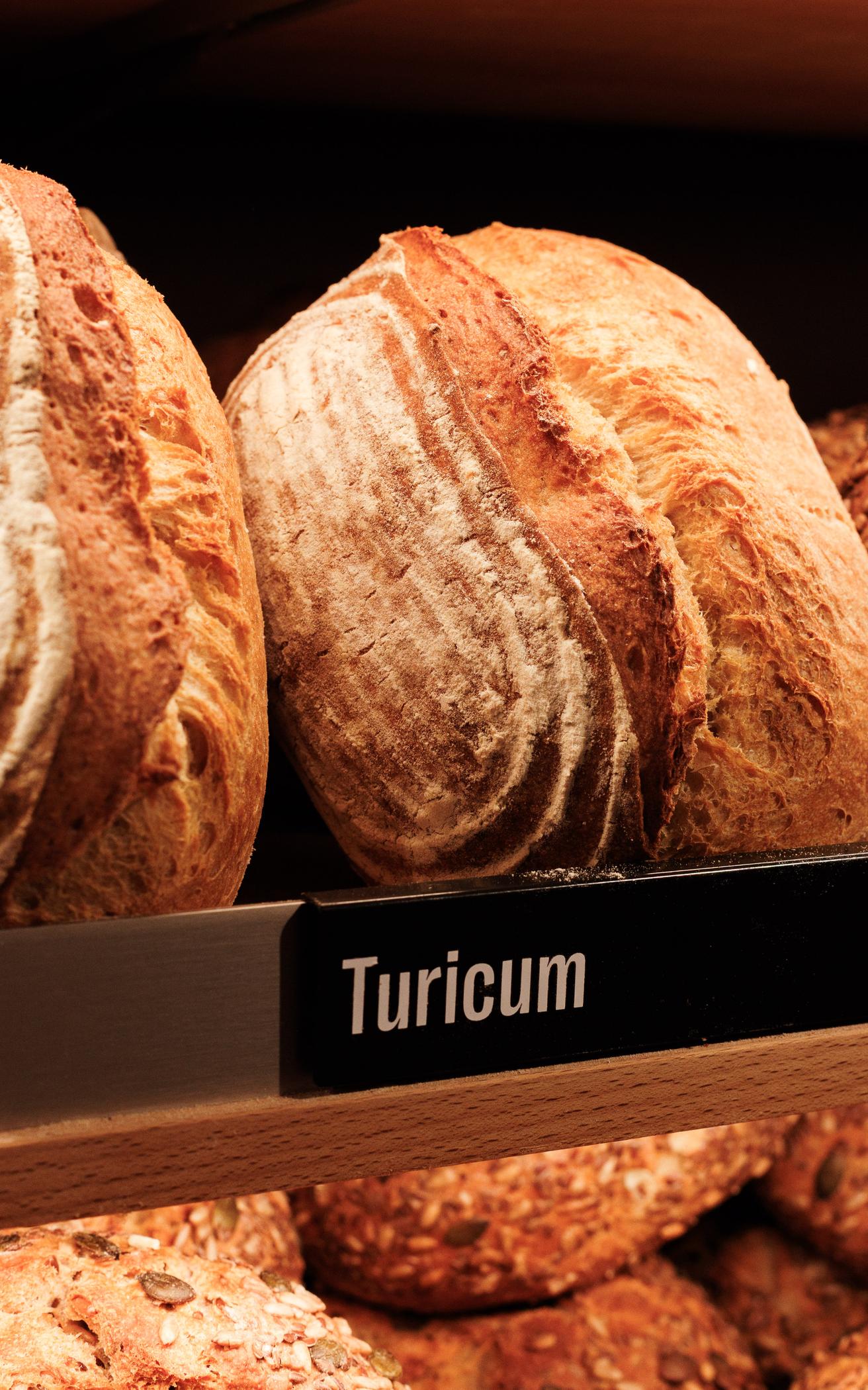 Turicum