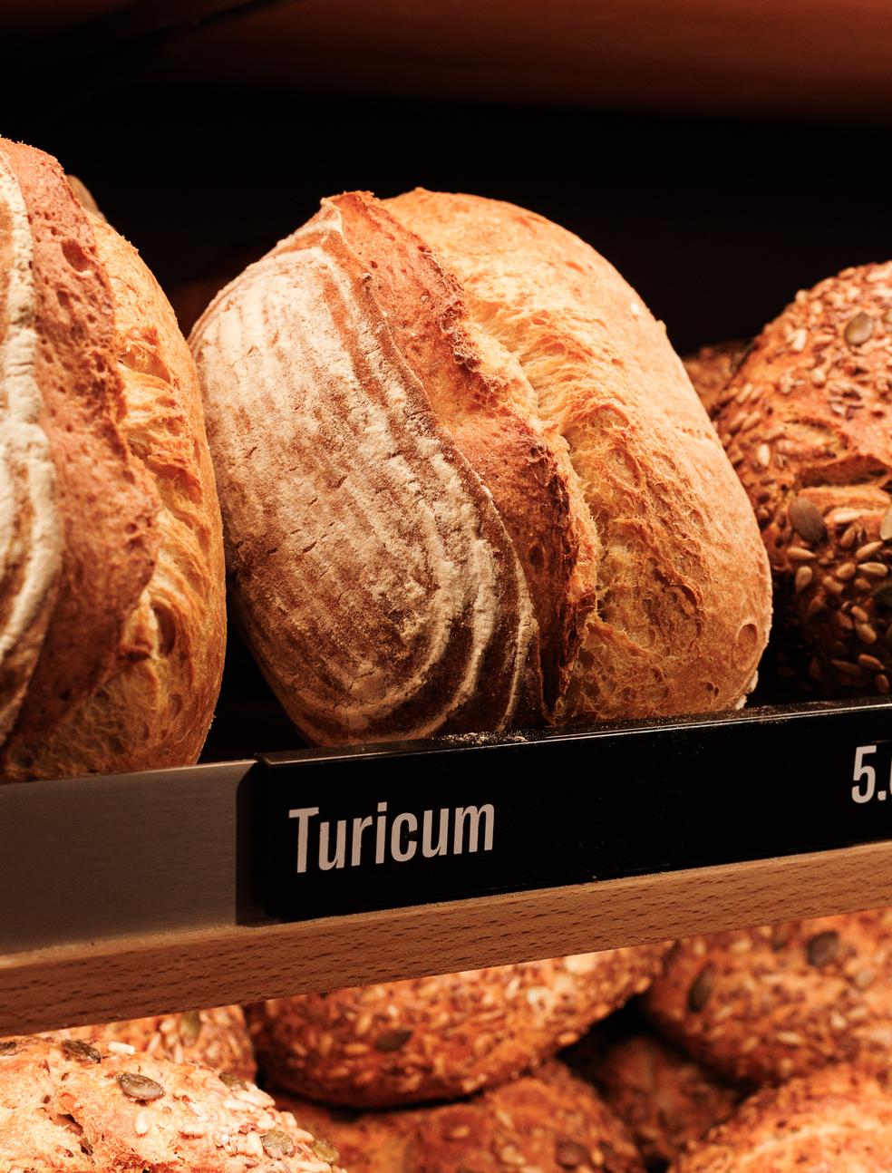 Turicum